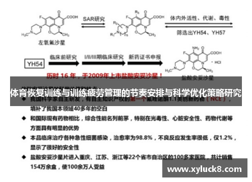 体育恢复训练与训练疲劳管理的节奏安排与科学优化策略研究